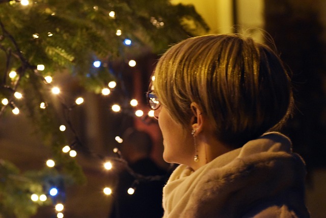 Free Lights Tree photo and picture