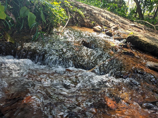 Free Water Nature photo and picture
