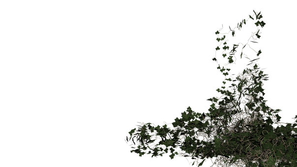 Klimop, Bladeren, Blad, Plantaardige