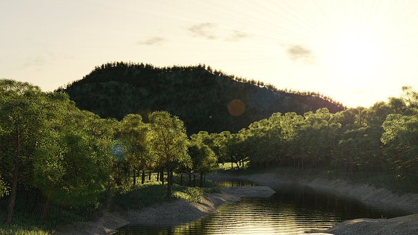 Floresta, Hill, Natureza, Panorama