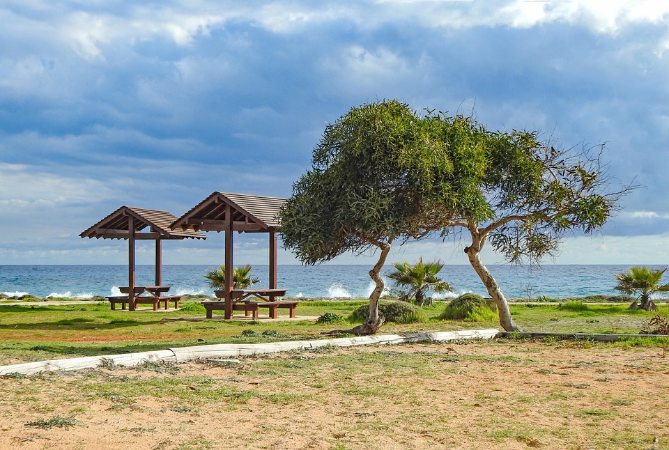 Picnic Site, Park, Ayia Napa, Trees, Sky, Clouds