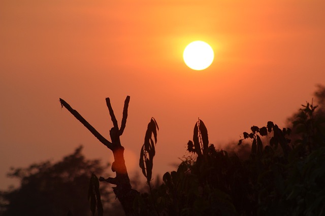 Free Sunset Costa Rica photo and picture