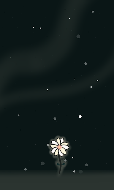 Blume, Natur, Nacht, Hintergrund, Sterne