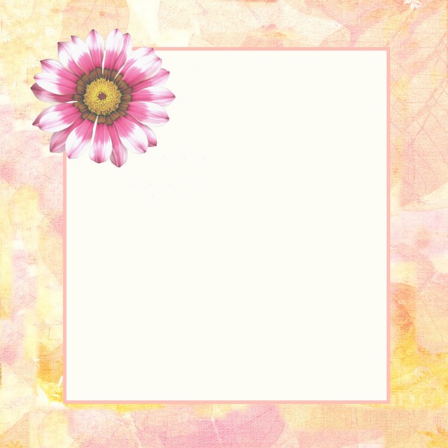 Free flower floral petal illustration