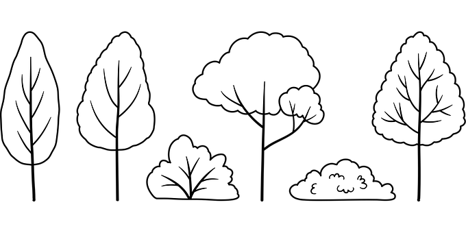 Free Trees Forest vector and picture
