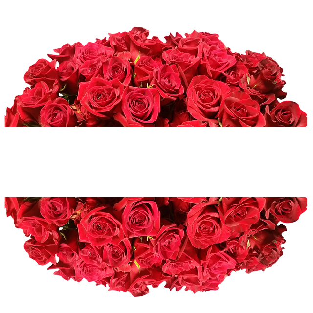 Free flowers roses bloom illustration