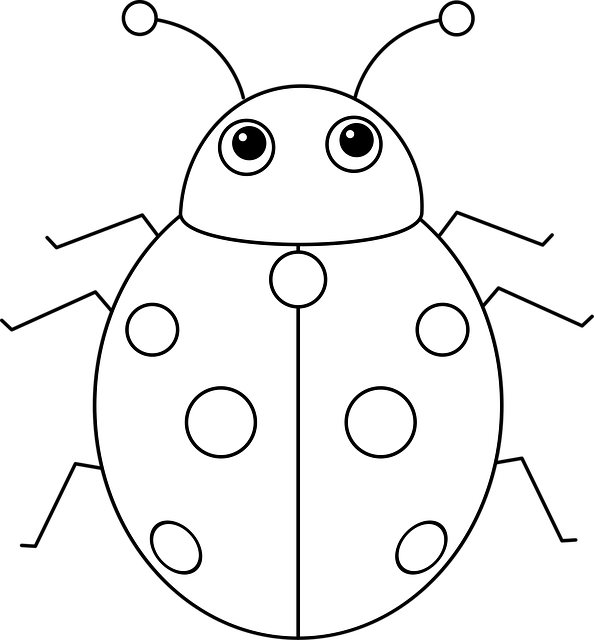 Free Insect Ladybug vector and picture