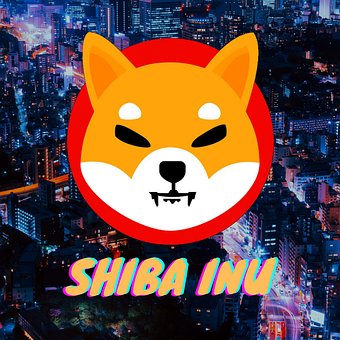 Free Shiba Inu Shiba Inu Token photo and picture