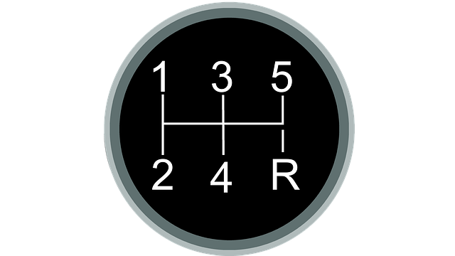 Free shift knob manual automobile illustration