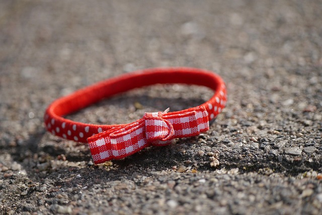 Free Hair Tie Hair Band photo and picture