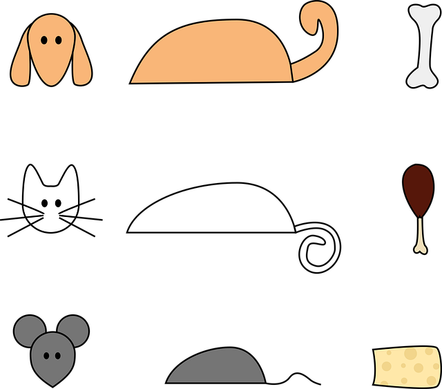 Free animal set cut out vector