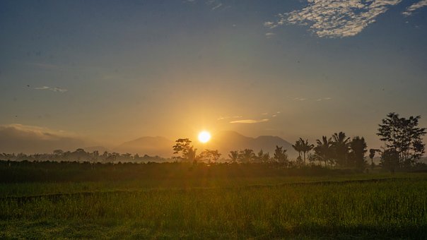 Blitar, Sawah, Solopgang, Padiblitar