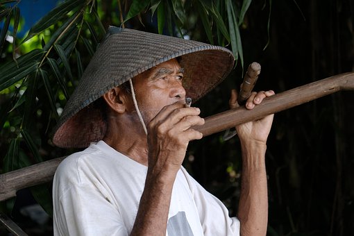 Mand, Landmand, Natur, Blitar, Java
