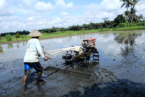 Membajaksawah, Petaniblitar, Pertanian