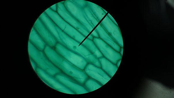 Free Science Microscope photo and picture