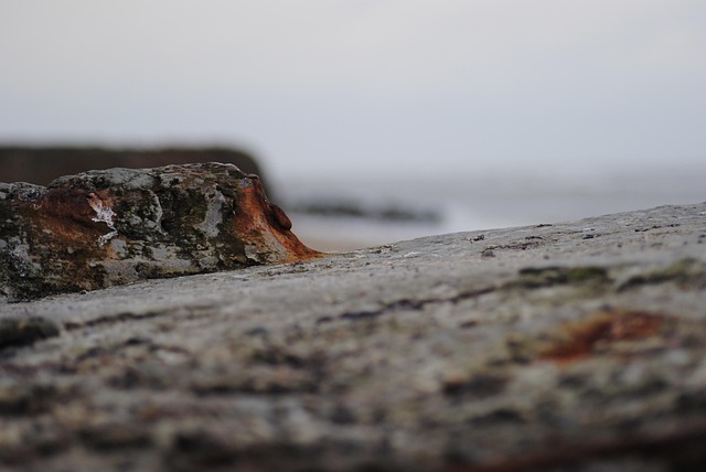 Free Bunker Beach photo and picture