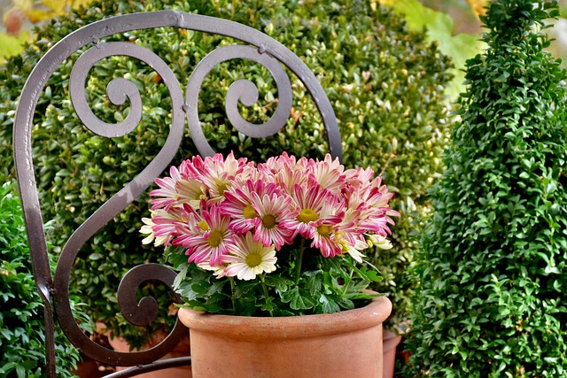 Free Plant Pot Chair photo and picture