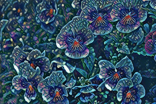 Free flowers spring pansy illustration