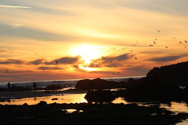 Free Beach Sunset photo and picture