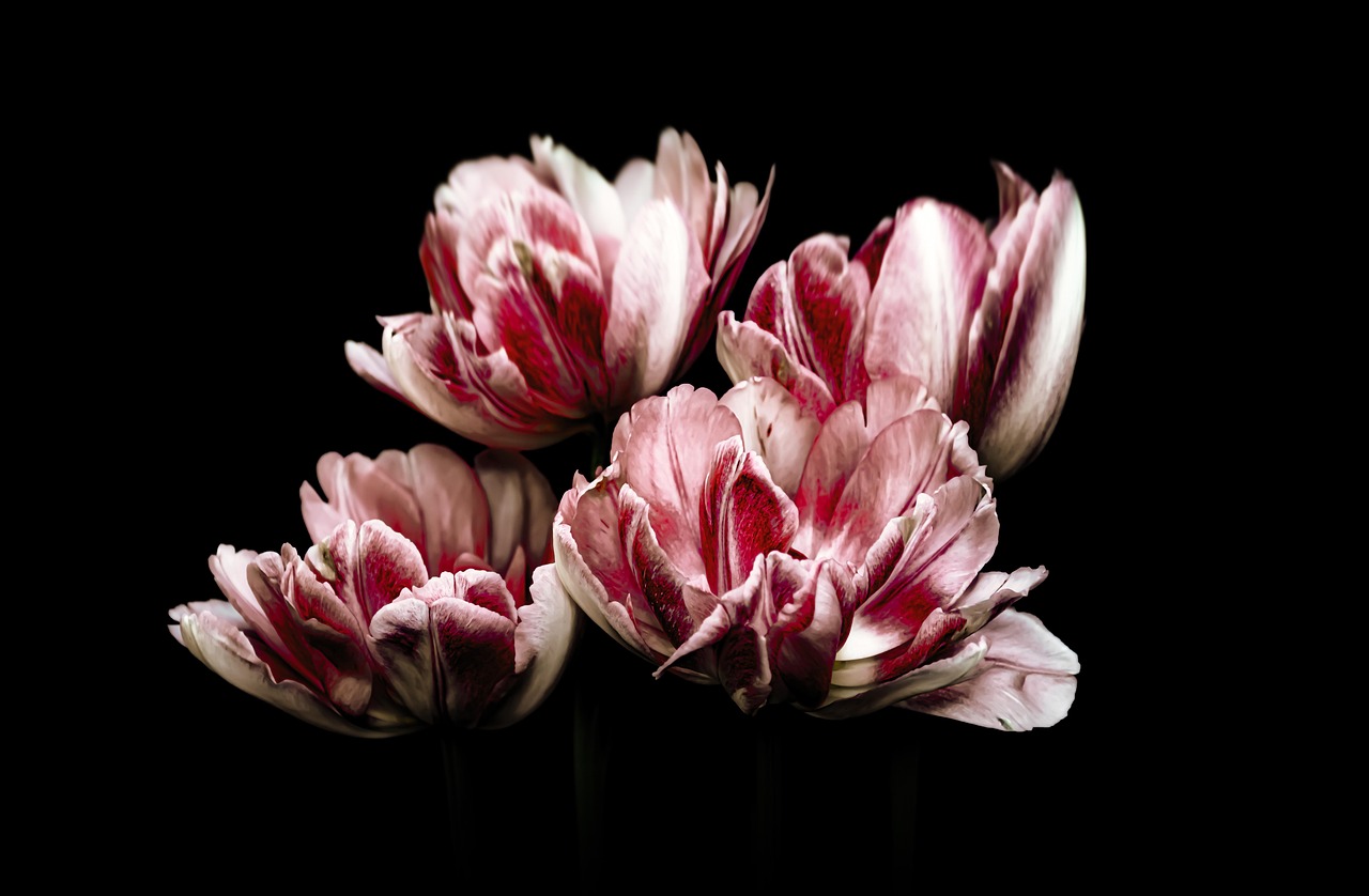 Flowers - free online jigsaw puzzle photo