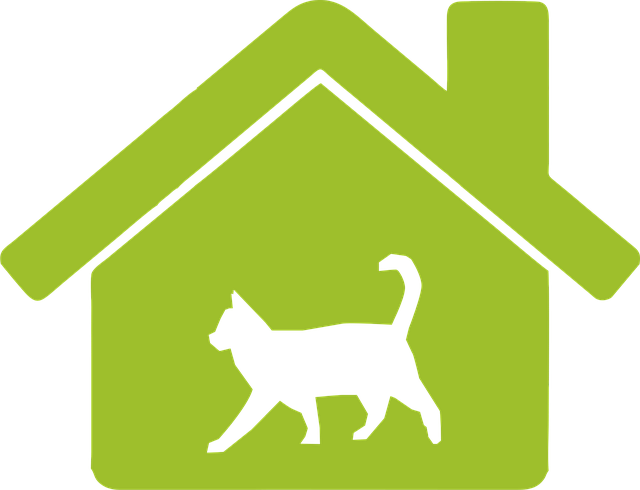 Download free HD stock image of Cat Feline Free cat feline pet illustration