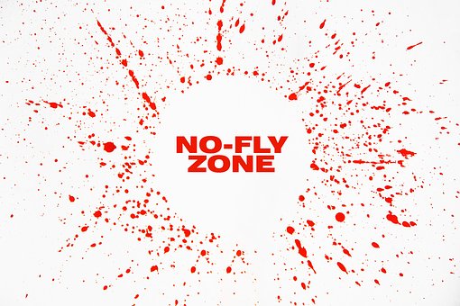 Free Ukraine No Fly Zone photo and picture