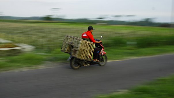 Gade, Panorering, Blitar Apik