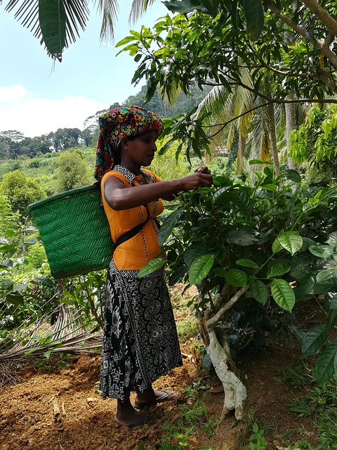 Free Woman Farmer photo and picture