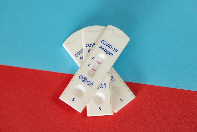 Free Antigen Test Coronavirus photo and picture