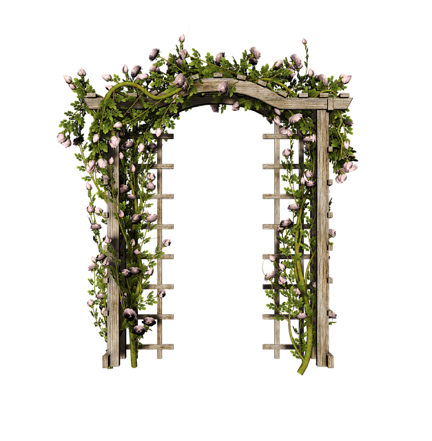 Free garden arch texture illustration