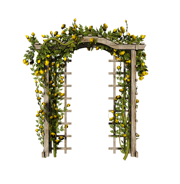 Free garden arch texture illustration
