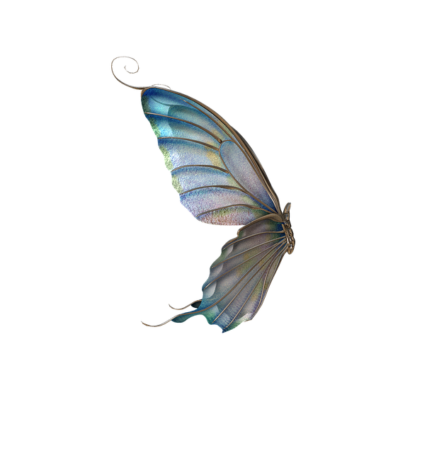Free butterfly insect winged insect illustration