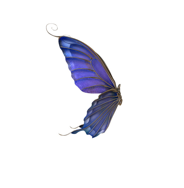 Free butterfly insect winged insect illustration