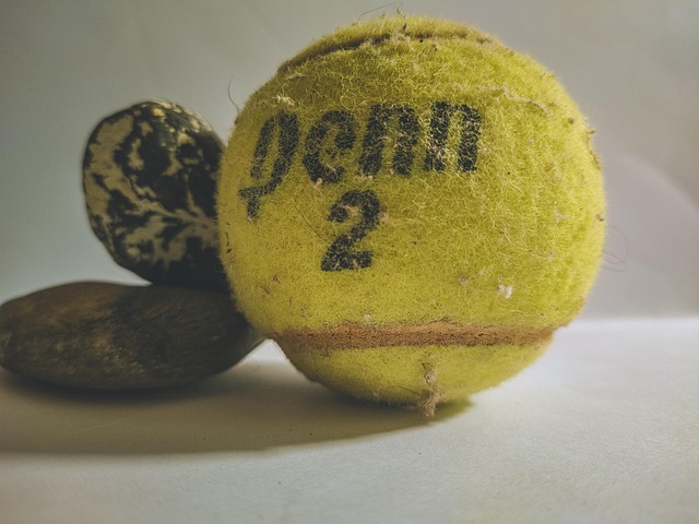Free Ball Tennis photo and picture