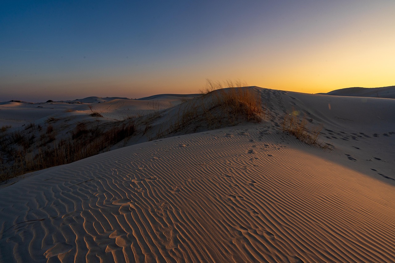 Areia Dunas Deserto Nascer Do - Foto gratuita no Pixabay - Pixabay