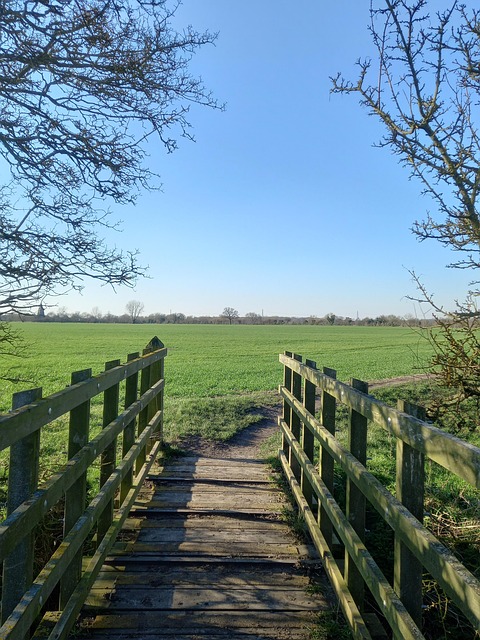 Brücke, Feld, Frühling, Hölzern, Weg