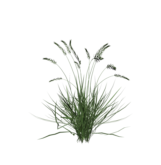 Relva, Planta, Renderização Em 3D, Junco