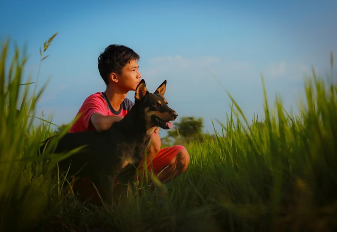 超过 80 张关于“人和狗”和“狗”的免费图片 - Pixabay