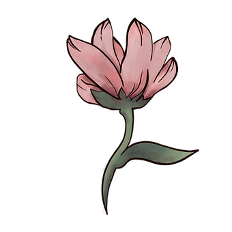 花, 盛开, 艺术, 设计, 画画, 草图, 开花, 剪下, 自然, 数字的