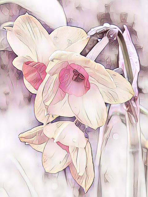 Free daffodils flower digital painting illustration