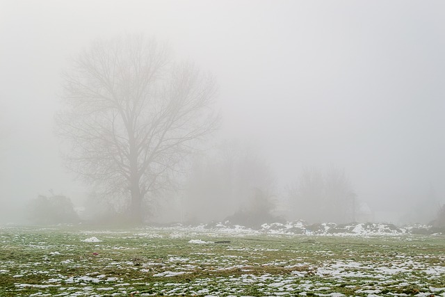 Free Landscape Duck Pond photo and picture