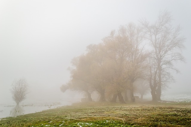 Free Landscape Duck Pond photo and picture