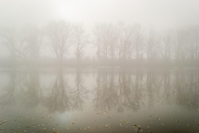 Free Landscape Duck Pond photo and picture