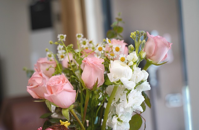 Free Flowers Roses photo and picture