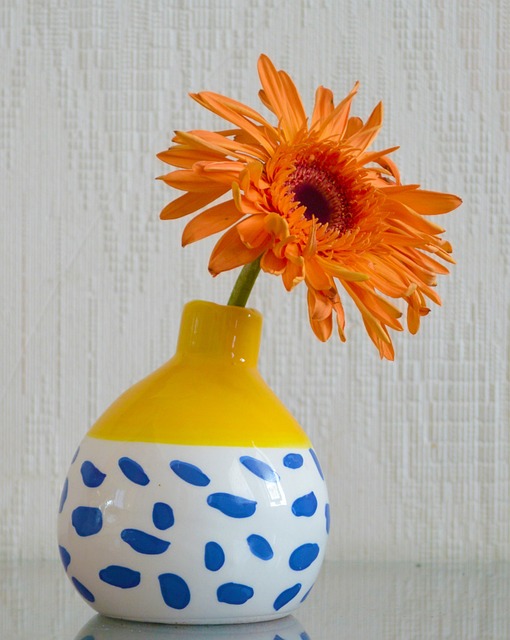 Natur, Strauß, Blüte, Gänseblümchen