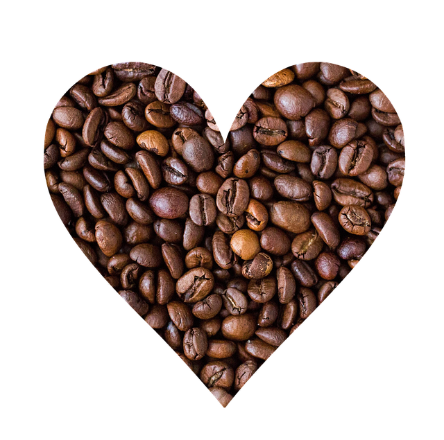 Free coffee beans roasted illustration