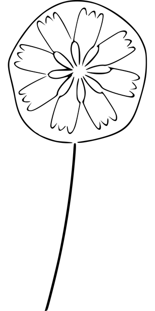 Blume, Laub, Garten, Frühling, Blüte