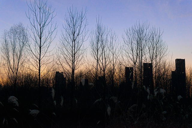 Nanjing, Ciudad, Árboles, Naturaleza