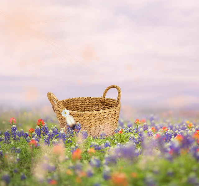 Download free HD stock image of Spring Basket Free spring basket flowers illustration