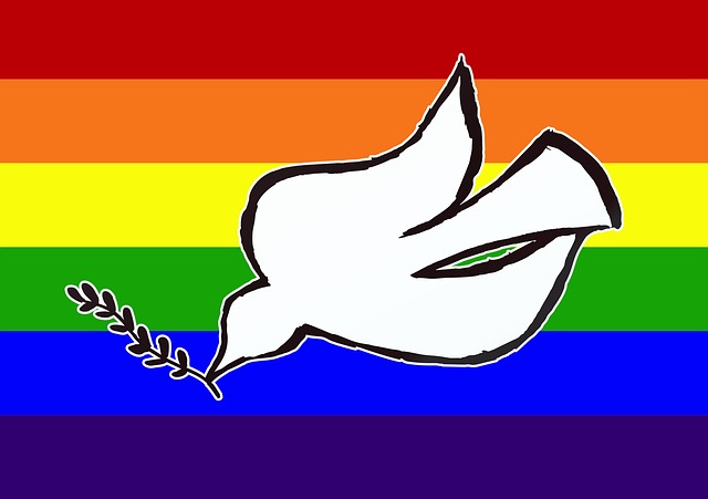 Friedenstaube Regenbogen Kunst Kostenloses Bild Auf Pixabay